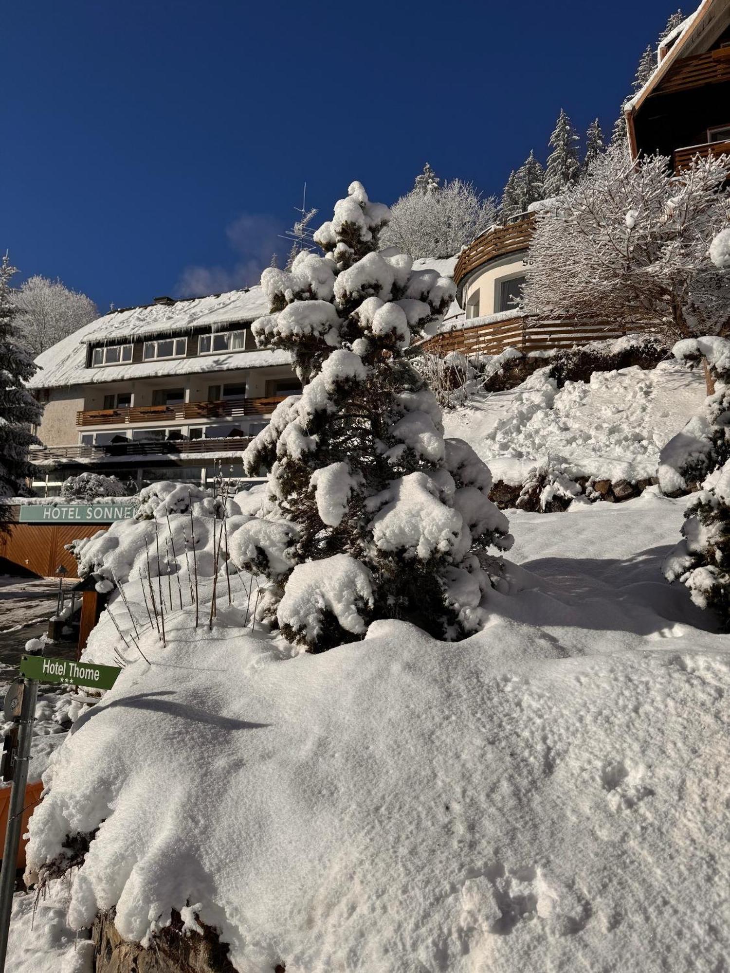 Hotel Sonnenberg Garni Hinterzarten Dış mekan fotoğraf