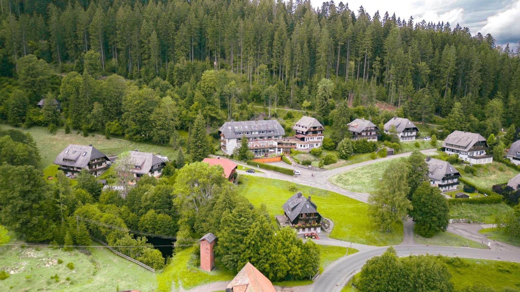 Hotel Sonnenberg Garni Hinterzarten Dış mekan fotoğraf