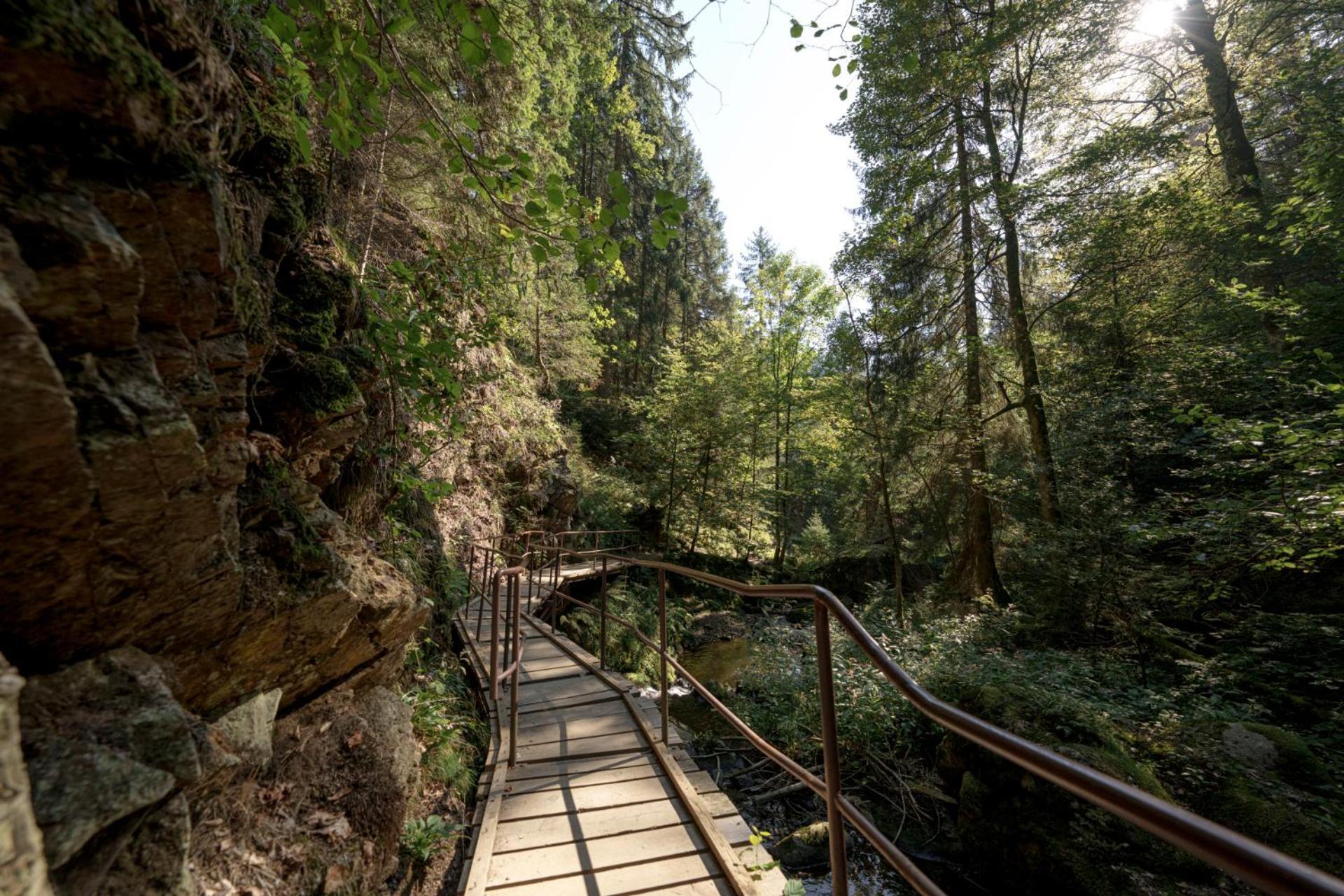 Hotel Sonnenberg Garni Hinterzarten Dış mekan fotoğraf